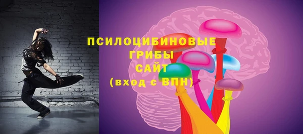 PSILOCYBIN Алзамай