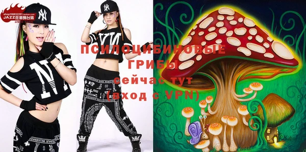 PSILOCYBIN Алзамай