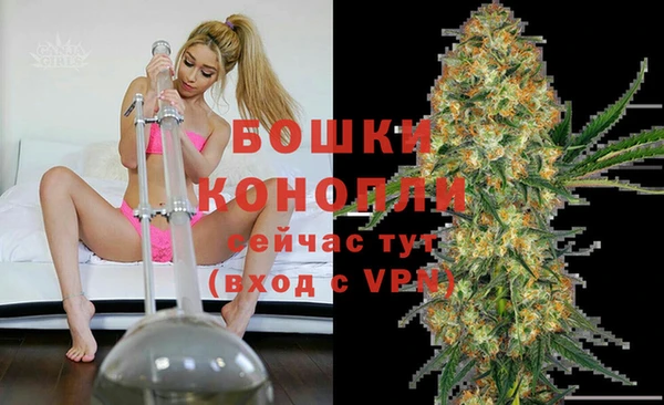 PSILOCYBIN Алзамай