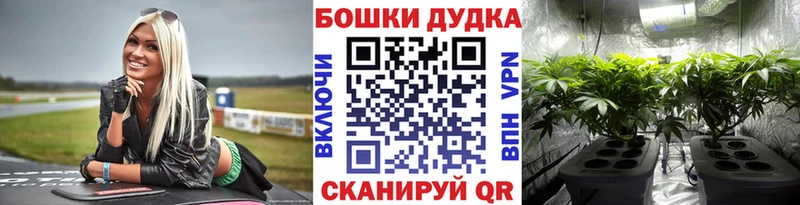 Канабис THC 21%  omg tor  Норильск  где купить наркотик 